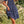 Floral Print Fit Short Sleeve A Line Dress - | SmartBuyApparel