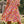 Floral Print Fit Short Sleeve A Line Dress - | SmartBuyApparel