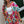 Plus Size Floral Print Open Front Shorts Sets - | SmartBuyApparel