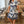 Plus Size Floral Print V Neck Fit Midi Dress - | SmartBuyApparel
