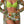Three Piece Push Up High Waisted Kimono Swimsuit - | SmartBuyApparel